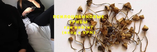 мяу мяу мука Белокуриха