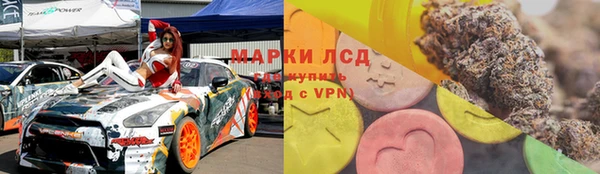 мяу мяу мука Белокуриха