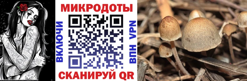 omg как войти  Ярцево  Галлюциногенные грибы MAGIC MUSHROOMS 